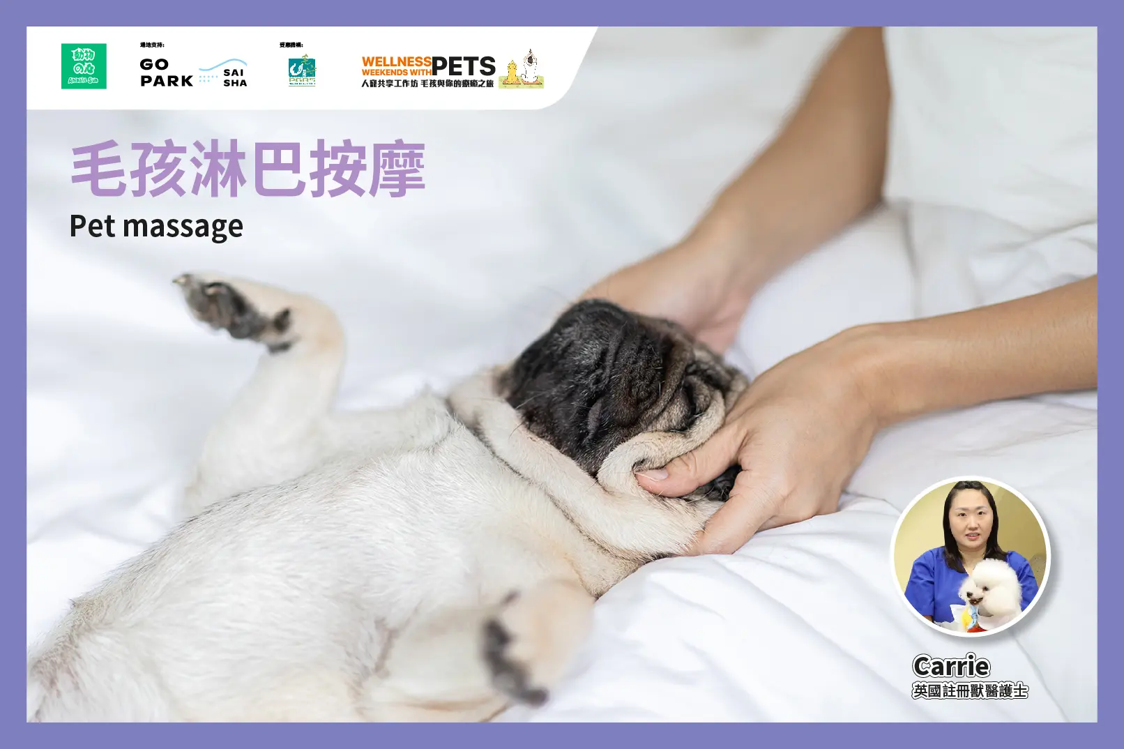 西沙GO PARK 毛孩專屬週末派對！立即報名毛孩淋巴按摩工作坊