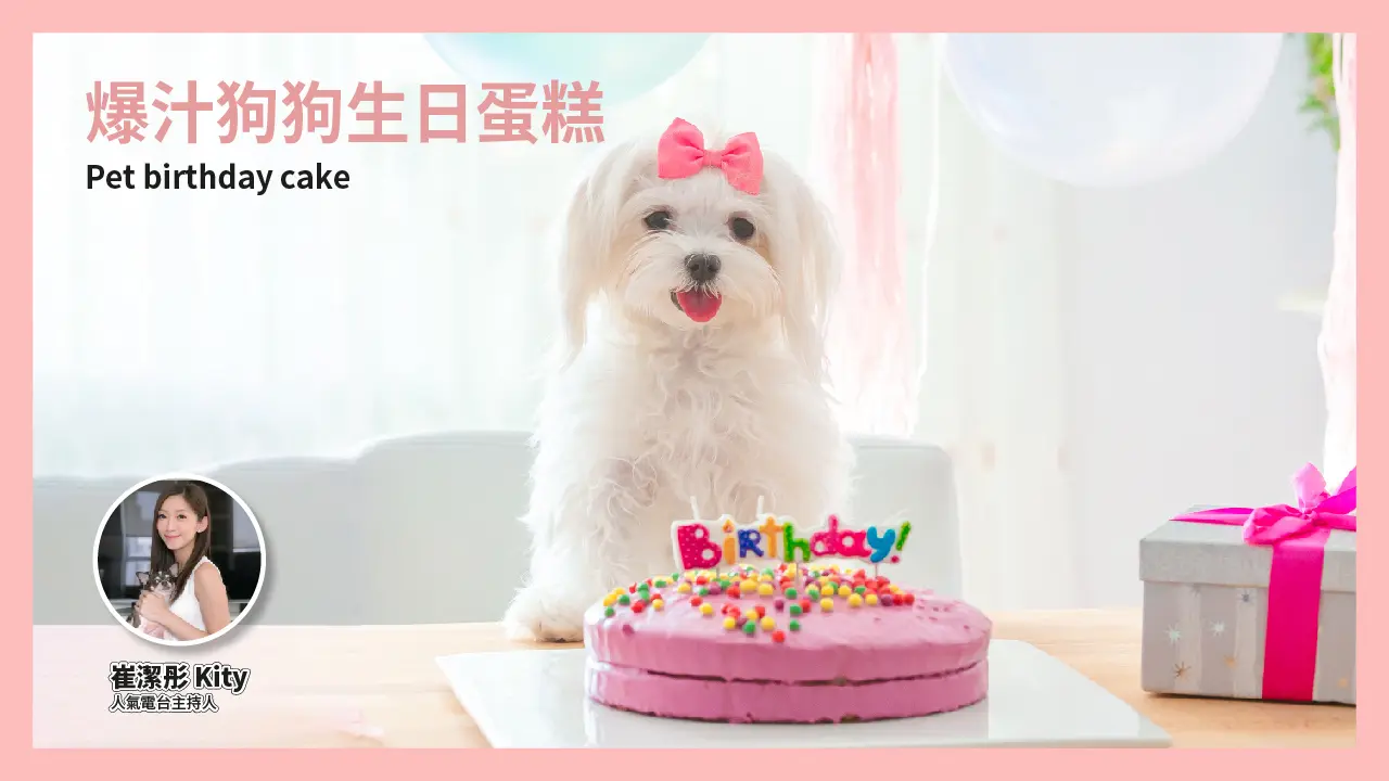 西沙GO PARK 毛孩專屬週末派對！爆汁狗狗生日蛋糕工作坊 9月14日（日）16:00–17:00
