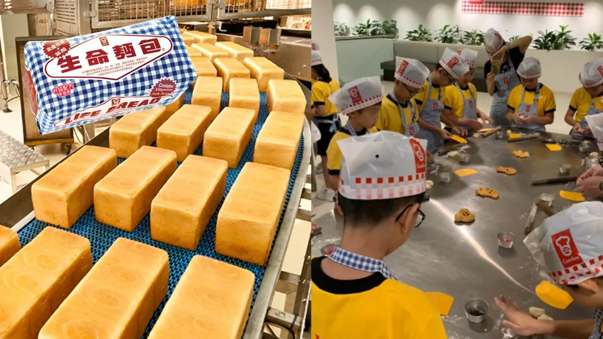 嘉頓廠房免費參觀活動重新開放!DIY麵包/參觀麵包生產線 見證麵包製作工序