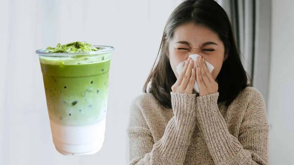 鼻敏感救星?鼻敏感狂打噴嚏好辛苦! 研究:抹茶或能減輕過敏噴嚏+流鼻水