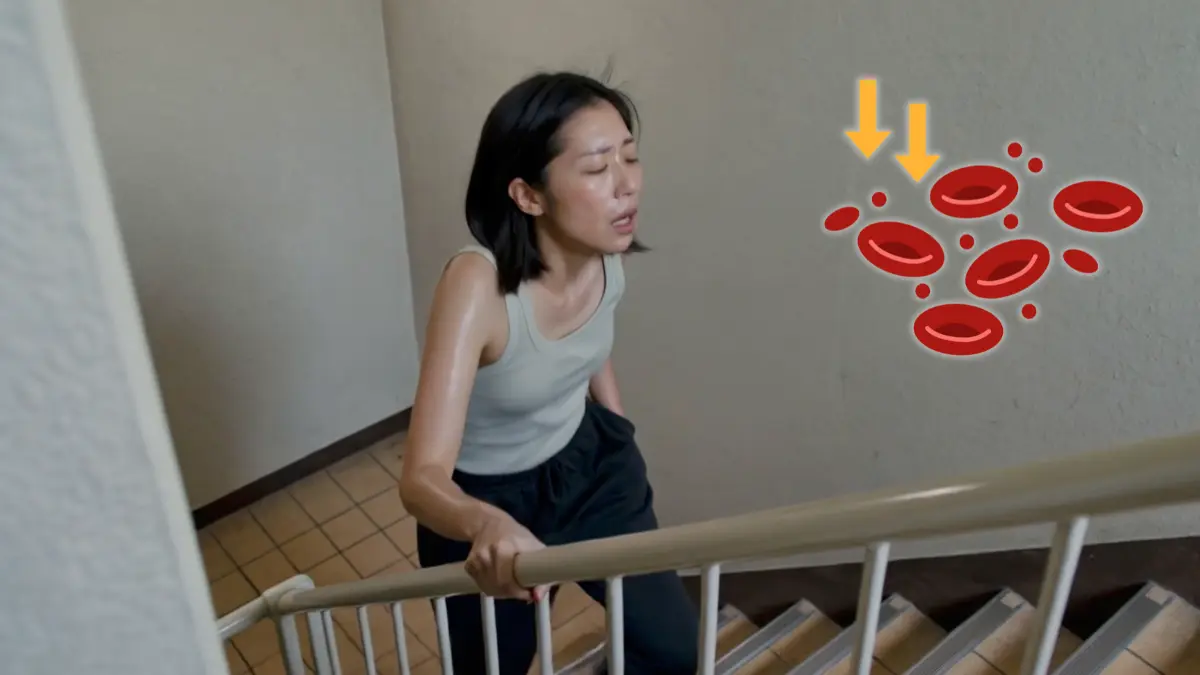 經常疲倦、掉髮、行樓梯氣喘？不是初老，而是身體陷入「缺鐵」危機！【含補鐵懶人包】