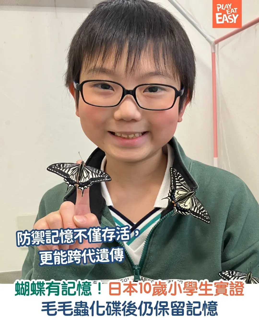 【#網民熱話】日本10歲小學生實證蝴蝶有記憶!