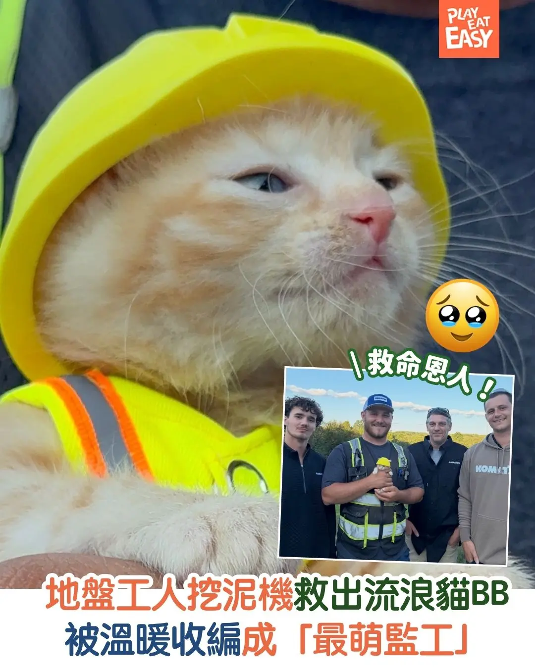 【#萌寵熱話】地盤工人從挖泥機救出流浪貓 BB,更將佢溫暖收編成「最萌監工」!