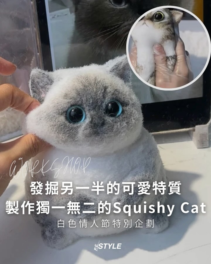 Squishy Cat Workshop
